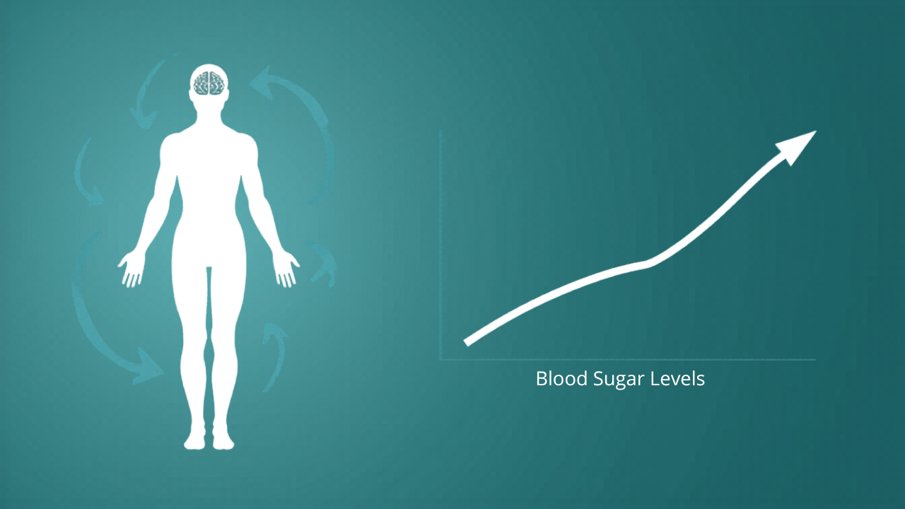 diagram showing how dehydration and blood sugar crashes affect brain energy and daily fatigue